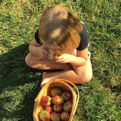 The Fruit of Our Prayers and Spiced Brown Sugar Apple Crisp